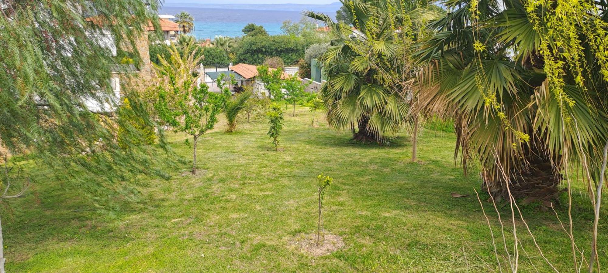 פפקוהורי Villa Helga Exotic מראה חיצוני תמונה